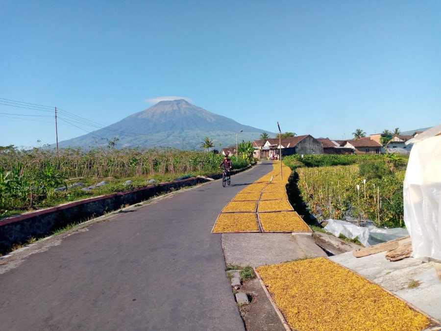 Berita