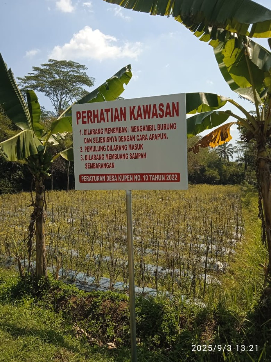 Berita
